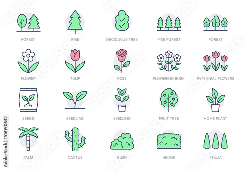 Plants line icons. Vector illustration include icon - green fence, wood, houseplant, thuja, seedling, wildflower, cactus outline pictogram for garden tree and bushes. Green Color, Editable Stroke