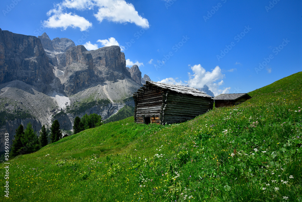 Zwei Rustikale Holzhütten stehen auf einer grünen Bergwiese bei blauem Himmel und kleinen Wolken. Dahinter erheben sich die massiven Felswände der Sella Gruppe in den Südtiroler Dolomiten