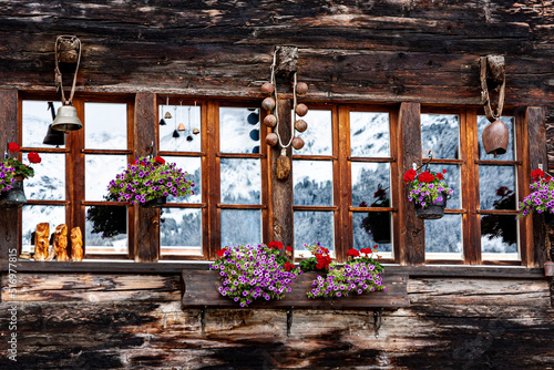 window with flowers © Michela