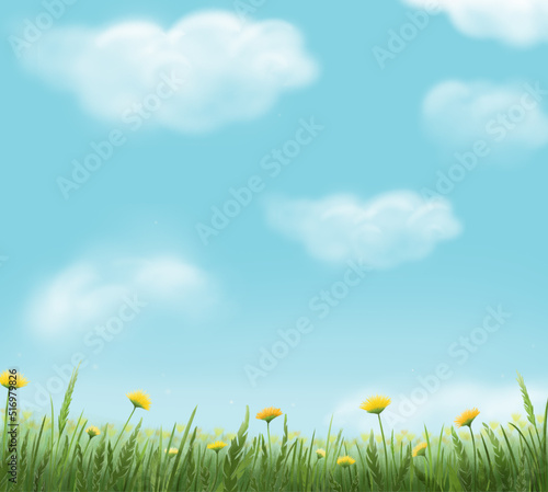 Background pattern flower meadow © andrey