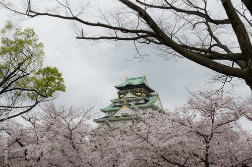 Obraz na płótnie 大阪城の桜 w salonie