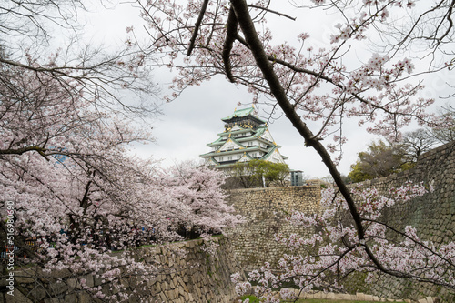 Obraz na płótnie 大阪城の桜 w salonie