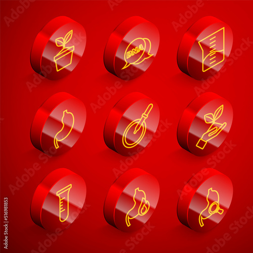 Set line Plant in pot, DNA symbol, Laboratory glassware or beaker, Human stomach, Petri dish with pipette, hand, Test tube flask and Stomach heartburn icon. Vector