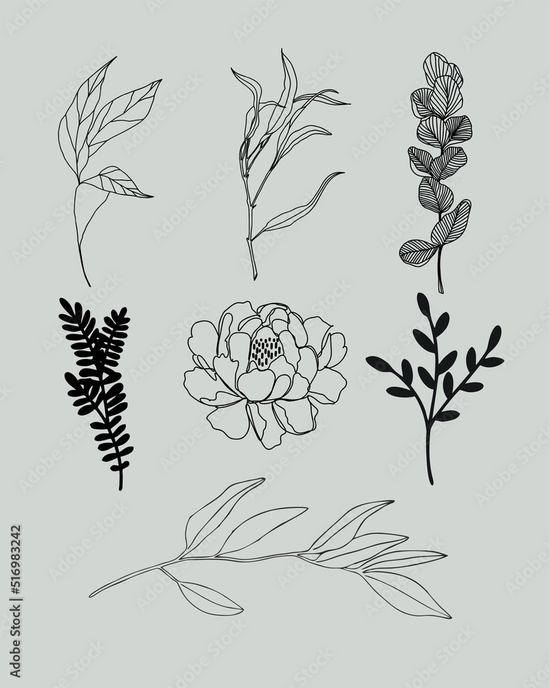 Realistic hand-drawn herbs & wildflowers. Vector
Realistic hand-drawn herbs & wildflowers. Vector