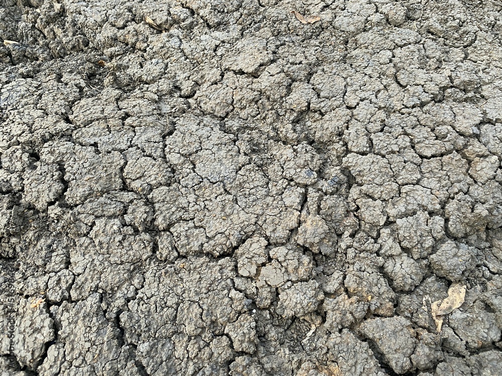 dry crack soil texture dry crack soil texture
