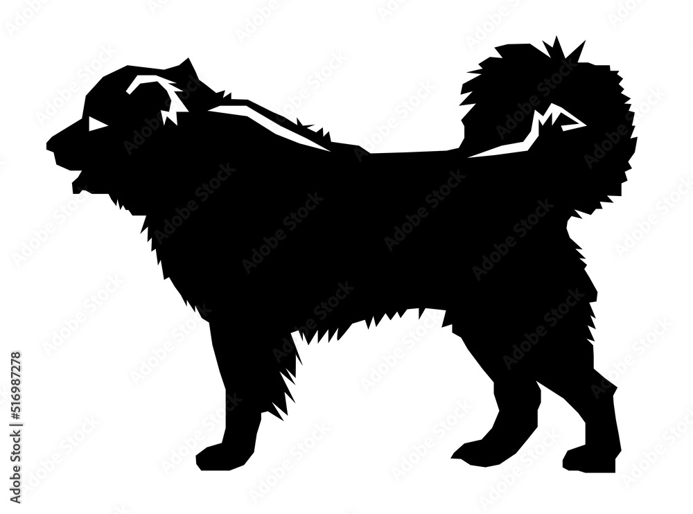 Georgian shepherd dog