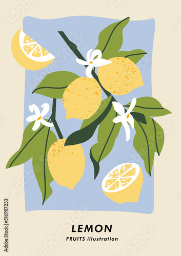 Vector illustration botanical poster with lemon fruits. Art for for postcard, wall art, banner, background and cover.