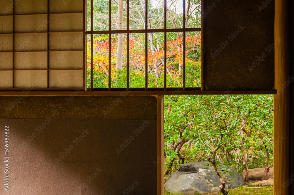 紅葉の瑠璃光院(京都府左京区)