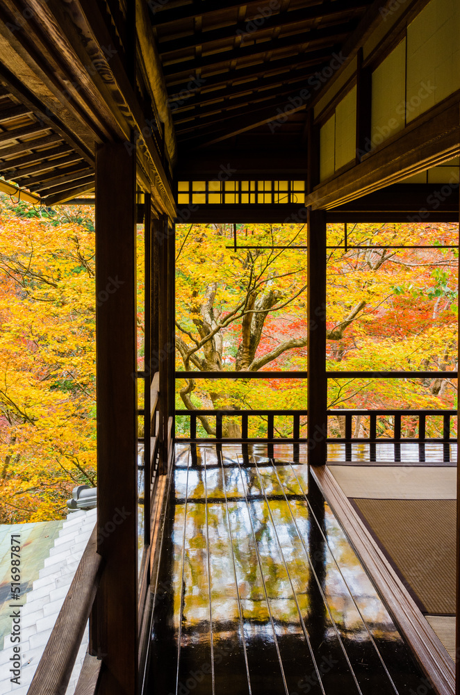 紅葉の瑠璃光院（京都府左京区）