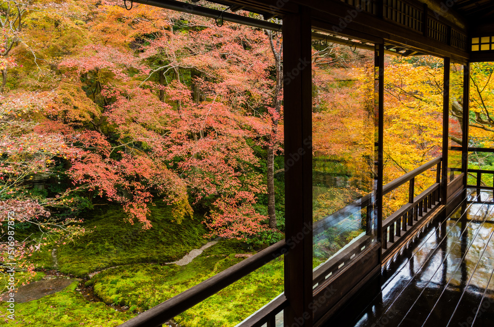 紅葉の瑠璃光院(京都府左京区)