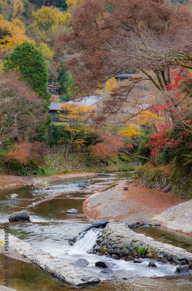 紅葉の瑠璃光院(京都府左京区)