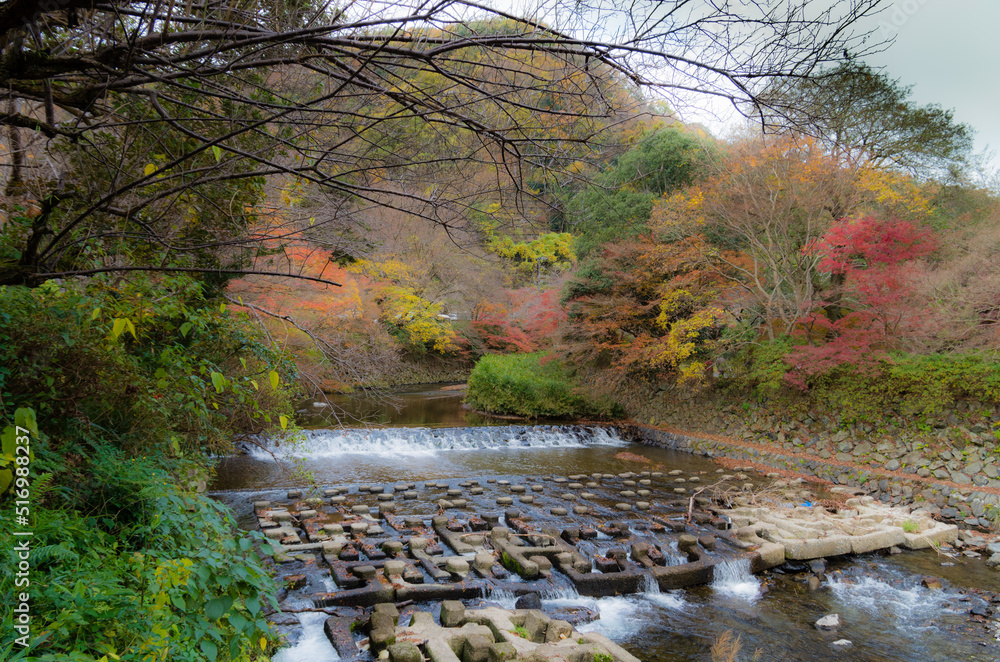 紅葉の瑠璃光院(京都府左京区)