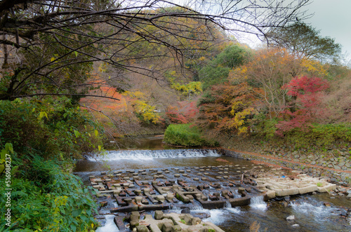 紅葉の瑠璃光院（京都府左京区）
