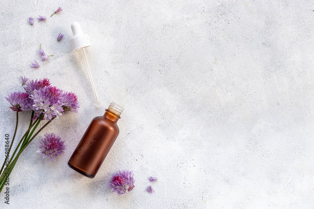 Herbal apothecary with wild flowers and essential oil Herbal apothecary with wild flowers and essential oil
