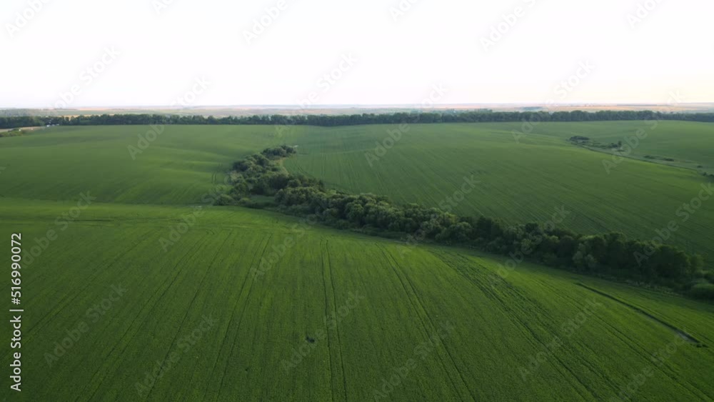 Splendid views of agricultural land in summer. UHD 4k video. Splendid views of agricultural land in summer. UHD 4k video.