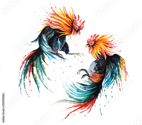 Fighting cock painted with watercolor.Facing encounter between two rooster.Chicken big cock illustration.Local sports in rural areas in Thailand. photo