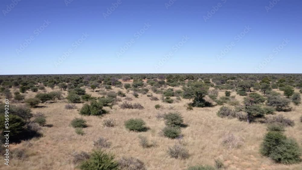 Drone over Kalahari Desert Drone over Kalahari Desert
