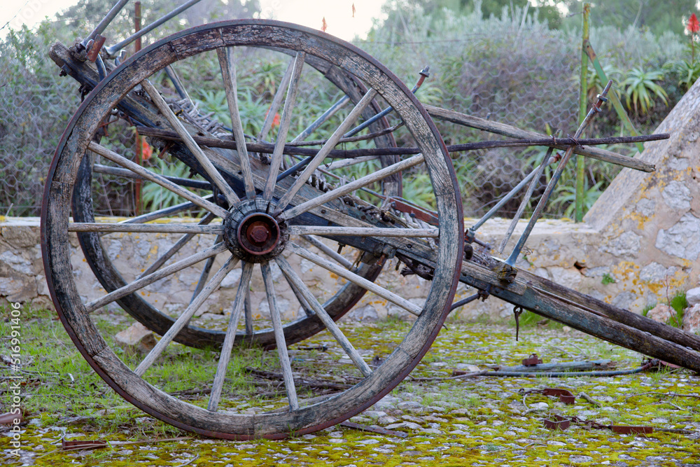 S' Arboçar.Banyalbufar.Sierra de Tramuntana.Mallorca.Islas Baleares. España.
