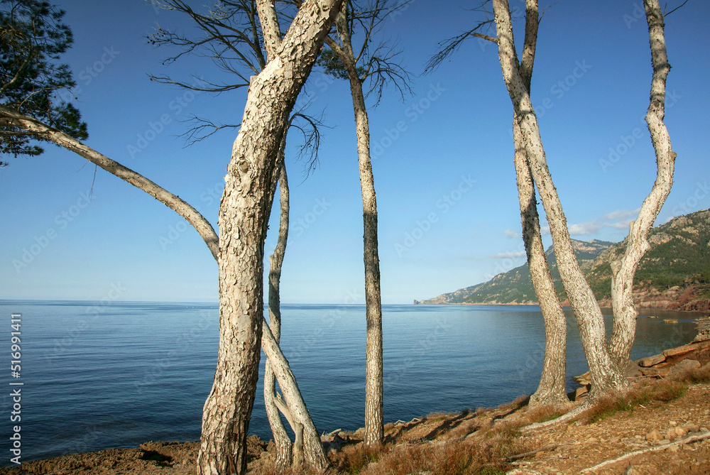 es Carregador,Banyalbufar.Sierra de Tramuntana.Mallorca.Islas Baleares. España.