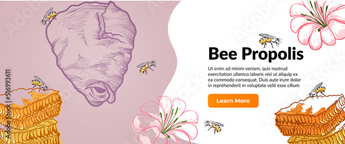 Bee propolis internet ad banner engraved vector illustration. Organic medical beauty natural wax