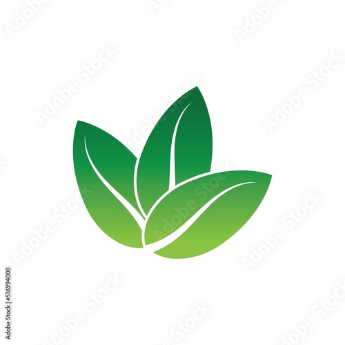 Fototapeta Naklejka Na Ścianę i Meble -  Logos of green tree leaf ecology