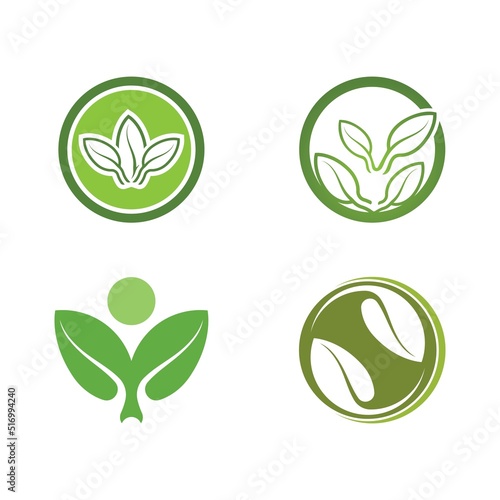 Logos of green tree leaf ecology