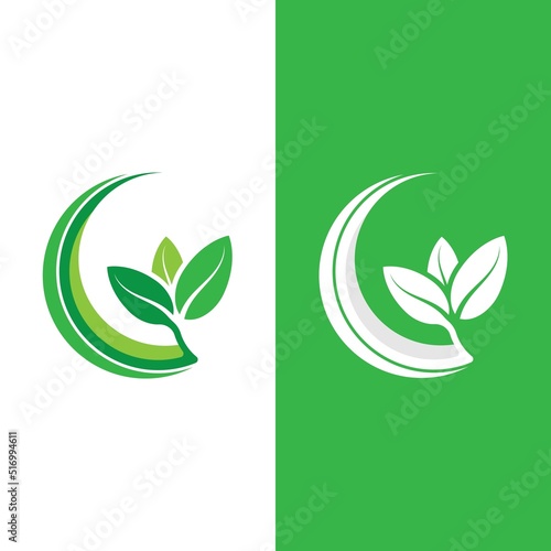 Logos of green tree leaf ecology