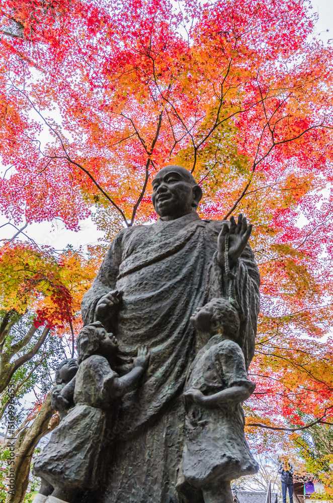 今熊野観音寺(京都府東山区)の紅葉