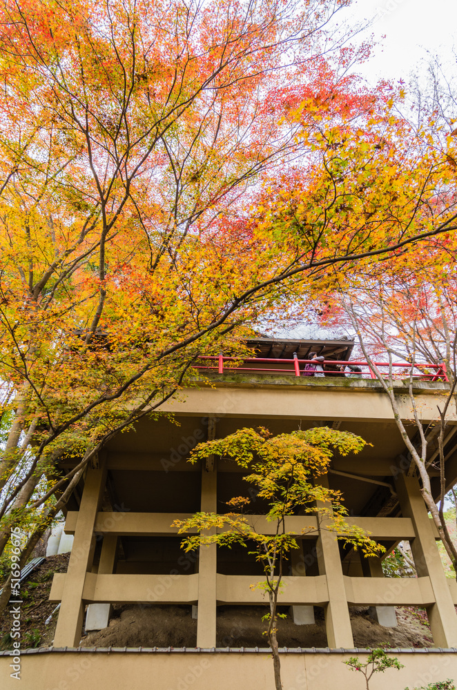 今熊野観音寺(京都府東山区)の紅葉