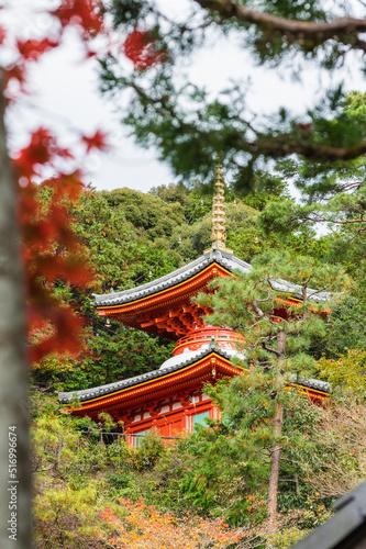 Obraz na płótnie 今熊野観音寺(京都府東山区)の紅葉 w salonie