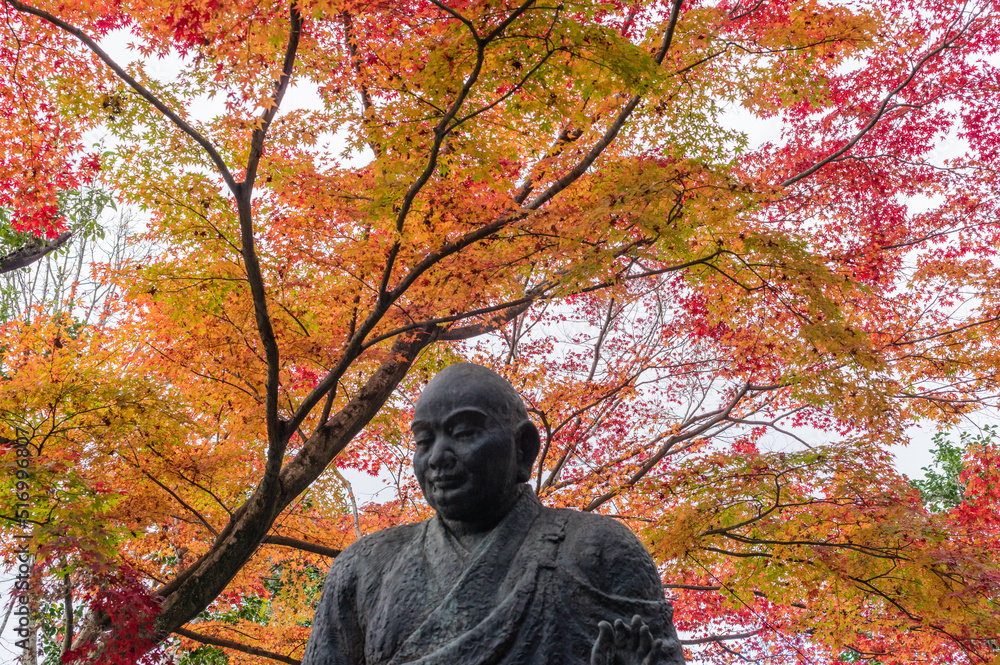 今熊野観音寺(京都府東山区)の紅葉