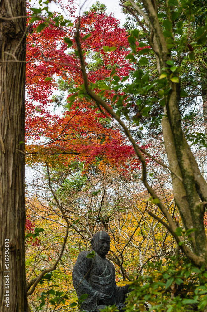 今熊野観音寺(京都府東山区)の紅葉