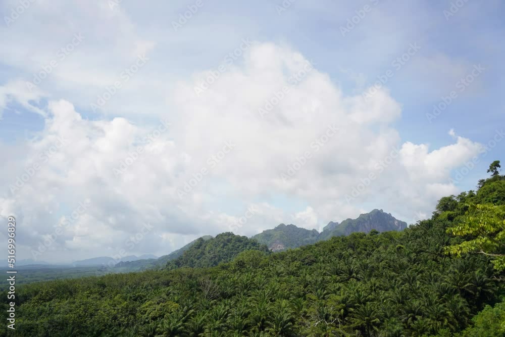 Timelapse of bright clouds in the jungle Timelapse of bright clouds in the jungle
