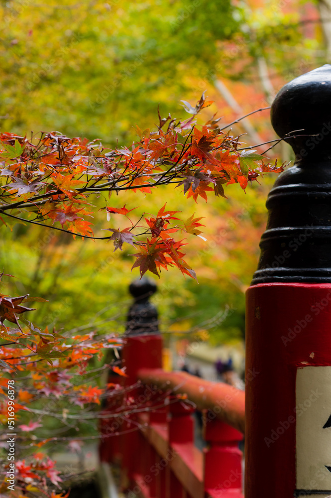 今熊野観音寺(京都府東山区)の紅葉