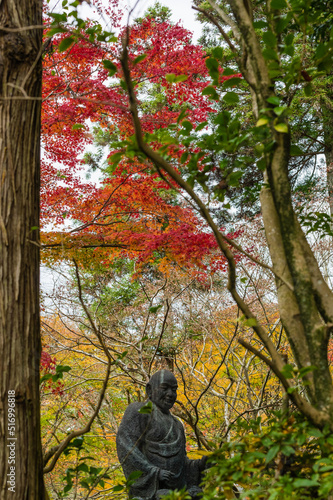 Obraz na płótnie 今熊野観音寺(京都府東山区)の紅葉 w salonie