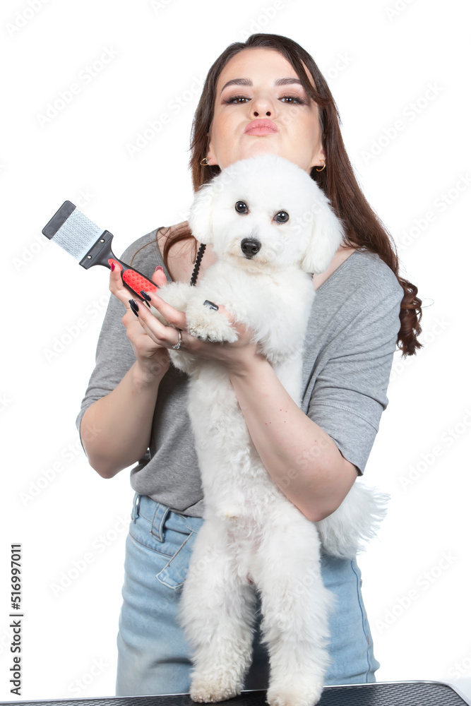 Young professional groomer with pets. She is posing with an instrument. Bichon dog and girl hairdresser. Young professional groomer with pets. She is posing with an instrument. Bichon dog and girl hairdresser.