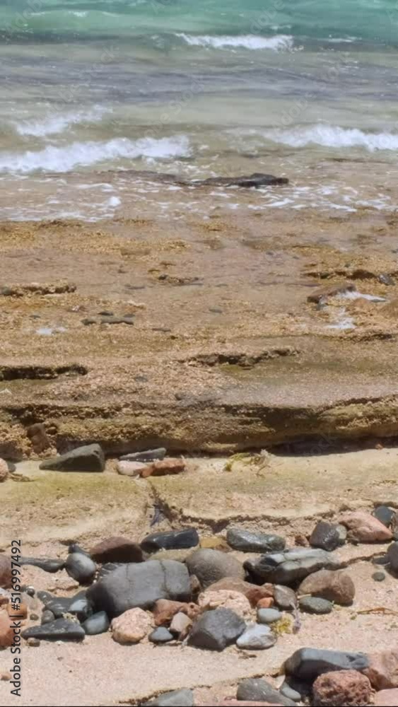 VERTICAL VIDEO: Close-up, waves rolls on petrified coral reef in the coastal zone. Natural background. VERTICAL VIDEO: Close-up, waves rolls on petrified coral reef in the coastal zone. Natural background.