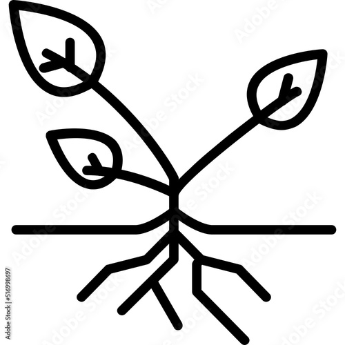 Plant Roots Icon