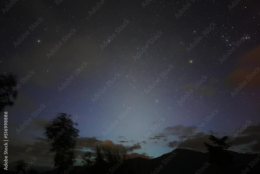 Timelapse of the night sky in the jungle while camping Timelapse of the night sky in the jungle while camping