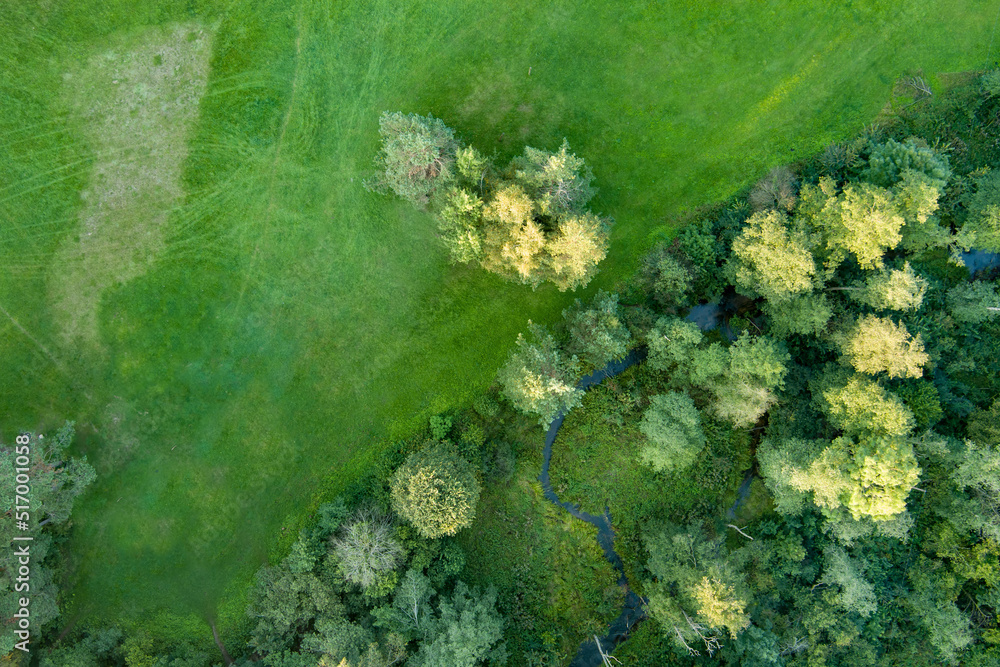 Aerial top down view of green mixed deciduous and coniferous forest. Aerial top down view of green mixed deciduous and coniferous forest.