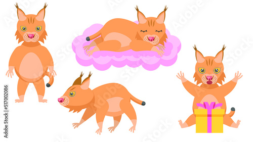 Set Abstract Collection Flat Cartoon Different Animal Lynx Stand, Walk, Surprised By The Gift, Sleeping On A Cloud Vector Design Style Elements Fauna Wildlife