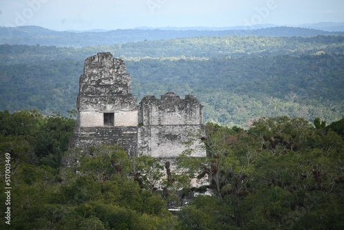 Beautiful shot of The Great Jaguar Tikal in Guatemala photo