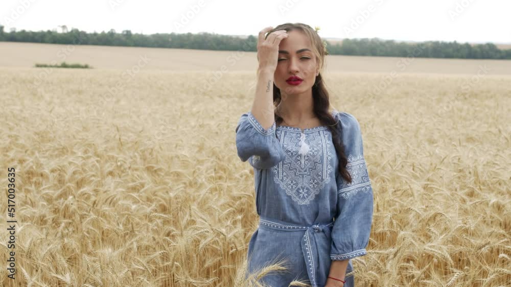 Elegant stylish pink-haired young woman in ukrainian national clothes walking slowly through golden wheat field in rays of setting sun, expressing joy, happiness and unity with summer nature.
Elegant stylish pink-haired young woman in ukrainian national clothes walking slowly through golden wheat field in rays of setting sun, expressing joy, happiness and unity with summer nature.