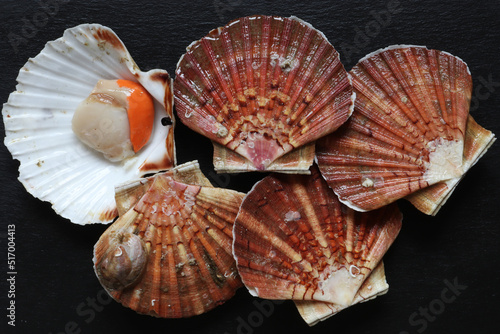 Photograph of several scallops, one of which is open and prepared on a slate for food illustrations