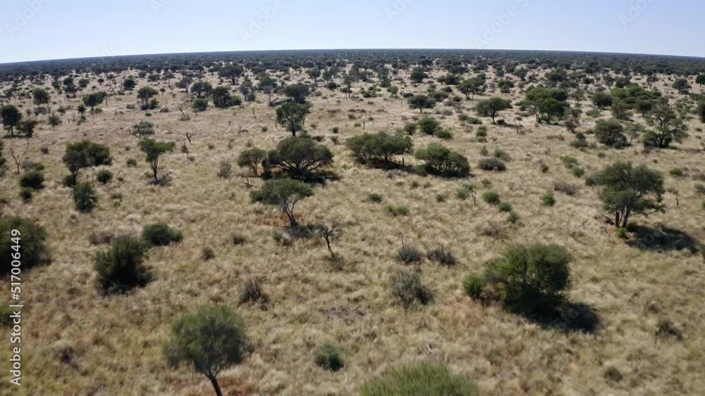 Drone over Kalahari Desert Drone over Kalahari Desert