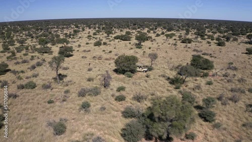 Drone over Kalahari Desert