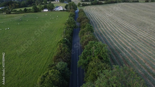 Aerial view of a road between rows of crops and green land in Thomastown, Kilkenny photo