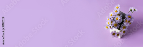 Purple erigeron flowers in a white box on a purple background, summer flowers, banner photo