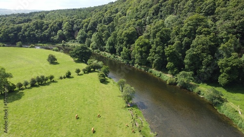 Beautiful view of a river flowing near the dense forest in Thomastown, County Kilkenny, Ireland photo