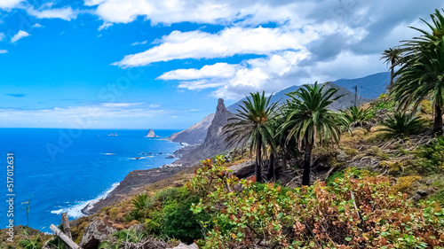 Large tropical palm trees with a panoramic view on Roque de las Animas crag and Roque en Medio in the Anaga mountain range, Tenerife, Canary Islands, Spain, Europe. Hiking trail from Afur to Taganana photo